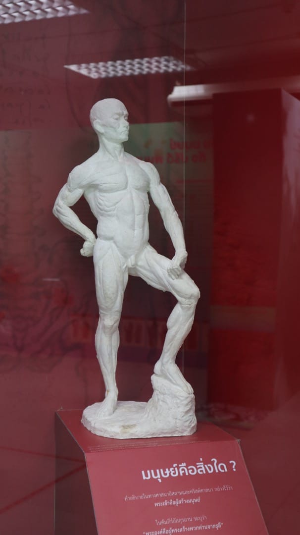 มนุษย์คือสิ่งใด ?